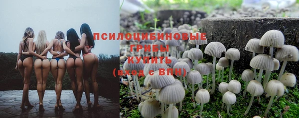 ECSTASY Балахна