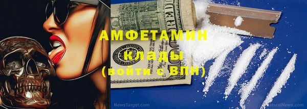 молекула духа Галич