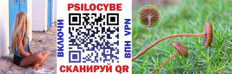 Галлюциногенные грибы мицелий Бобров