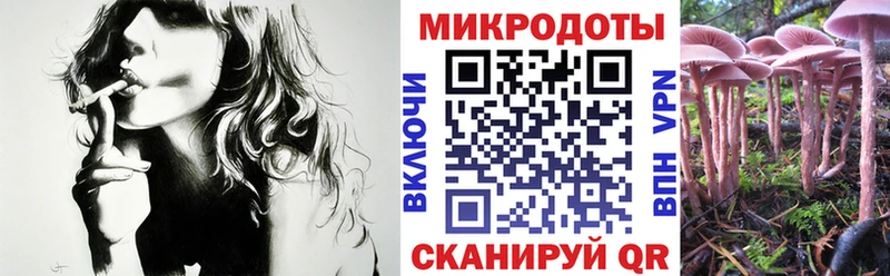 Псилоцибиновые грибы мицелий  ОМГ ОМГ маркетплейс  Бобров  купить наркотики цена 